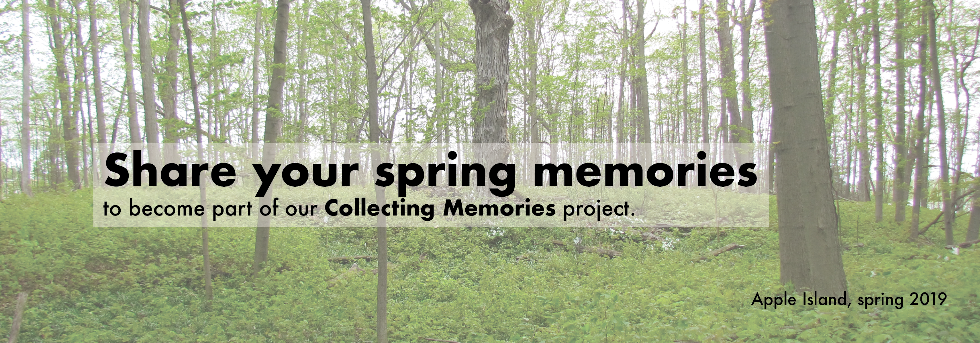 Collecting Memories Spring